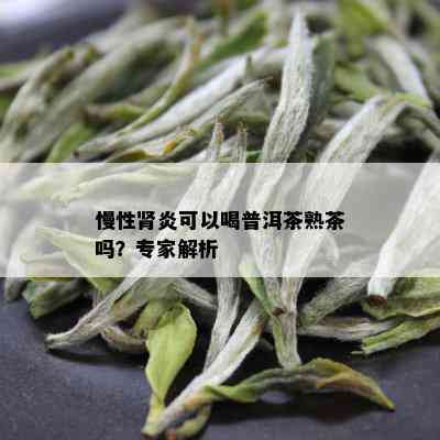 慢性肾炎可以喝普洱茶熟茶吗？专家解析