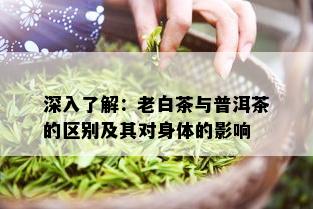 深入了解：老白茶与普洱茶的区别及其对身体的影响