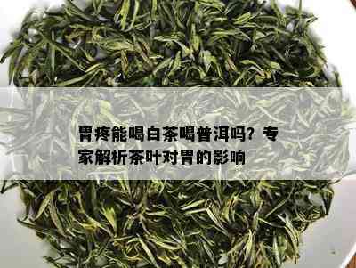 胃疼能喝白茶喝普洱吗？专家解析茶叶对胃的影响