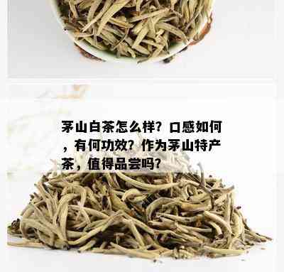 茅山白茶怎么样？口感如何，有何功效？作为茅山特产茶，值得品尝吗？