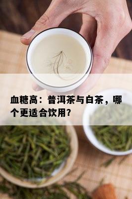 血糖高：普洱茶与白茶，哪个更适合饮用？