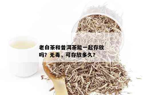 老白茶和普洱茶能一起存放吗？无，可存放多久？