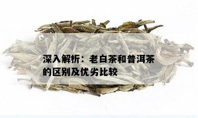 深入解析：老白茶和普洱茶的区别及优劣比较