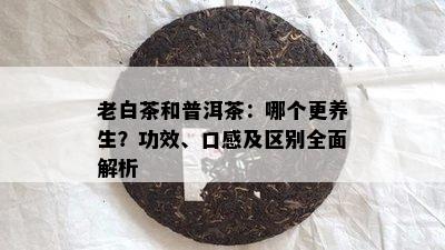 老白茶和普洱茶：哪个更养生？功效、口感及区别全面解析