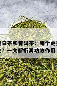 老白茶和普洱茶：哪个更养生？一文解析其功效作用