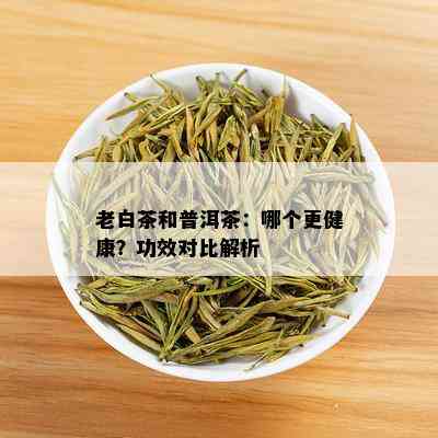 老白茶和普洱茶：哪个更健康？功效对比解析