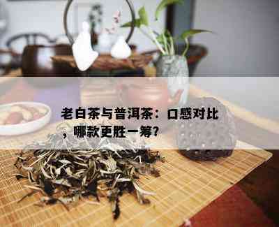 老白茶与普洱茶：口感对比，哪款更胜一筹？