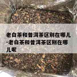 老白茶和普洱茶区别在哪儿-老白茶和普洱茶区别在哪儿呢