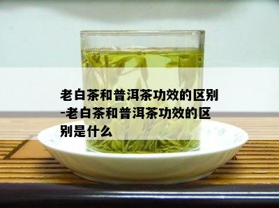 老白茶和普洱茶功效的区别-老白茶和普洱茶功效的区别是什么