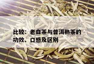 比较：老白茶与普洱熟茶的功效、口感及区别