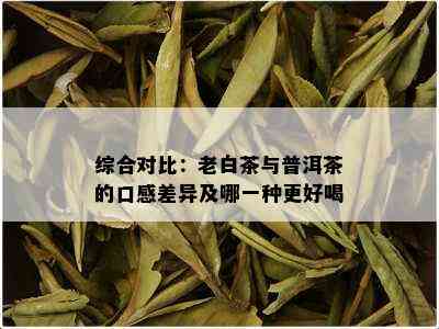 综合对比：老白茶与普洱茶的口感差异及哪一种更好喝