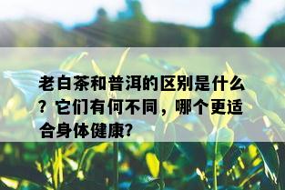 老白茶和普洱的区别是什么？它们有何不同，哪个更适合身体健康？