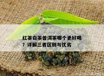 红茶白茶普洱茶哪个更好喝？详解三者区别与优劣