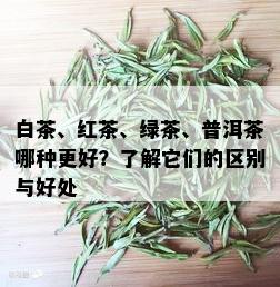 白茶、红茶、绿茶、普洱茶哪种更好？了解它们的区别与好处