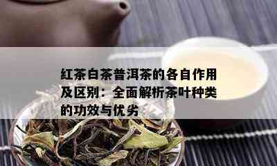 红茶白茶普洱茶的各自作用及区别：全面解析茶叶种类的功效与优劣