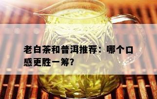 老白茶和普洱推荐：哪个口感更胜一筹？