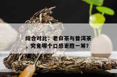 综合对比：老白茶与普洱茶，究竟哪个口感更胜一筹？