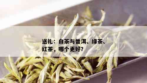 送礼：白茶与普洱、绿茶、红茶，哪个更好？