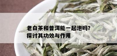 老白茶和普洱能一起泡吗？探讨其功效与作用