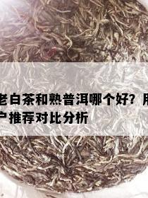 老白茶和熟普洱哪个好？用户推荐对比分析