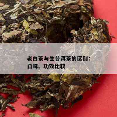 老白茶与生普洱茶的区别：口味、功效比较