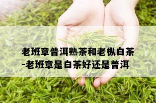 老班章普洱熟茶和老枞白茶-老班章是白茶好还是普洱