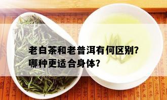 老白茶和老普洱有何区别？哪种更适合身体？