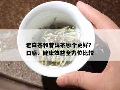 老白茶和普洱茶哪个更好？口感、健康效益全方位比较