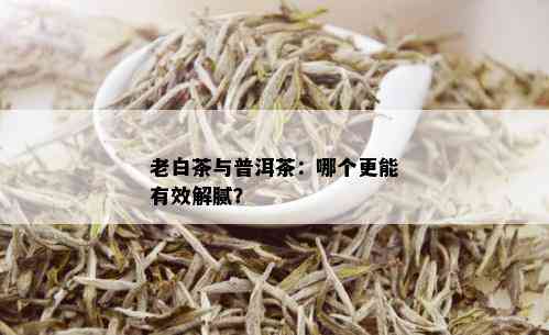 老白茶与普洱茶：哪个更能有效解腻？