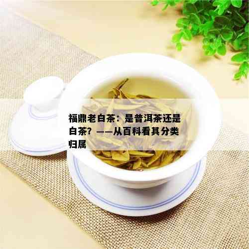 福鼎老白茶：是普洱茶还是白茶？——从百科看其分类归属