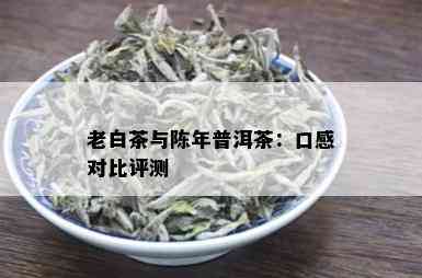 老白茶与陈年普洱茶：口感对比评测