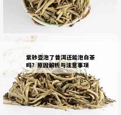 紫砂壶泡了普洱还能泡白茶吗？原因解析与注意事项