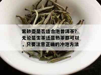 紫砂壶是否适合泡普洱茶？无论是生茶还是熟茶都可以，只要注意正确的冲泡方法。