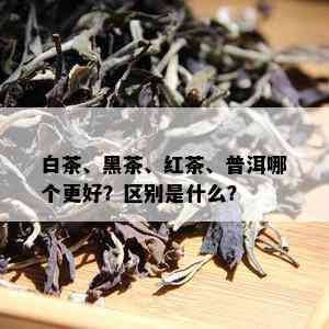 白茶、黑茶、红茶、普洱哪个更好？区别是什么？