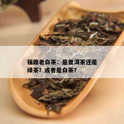 福鼎老白茶：是普洱茶还是绿茶？或者是白茶？