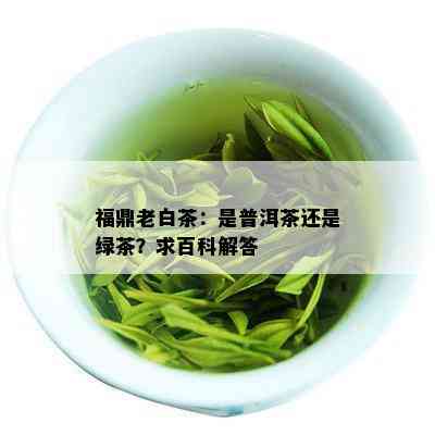 福鼎老白茶：是普洱茶还是绿茶？求百科解答