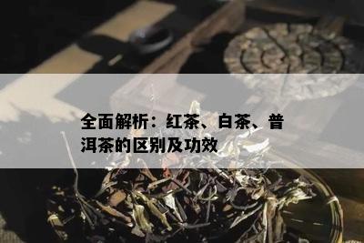 全面解析：红茶、白茶、普洱茶的区别及功效