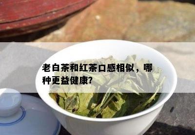 老白茶和红茶口感相似，哪种更益健康？