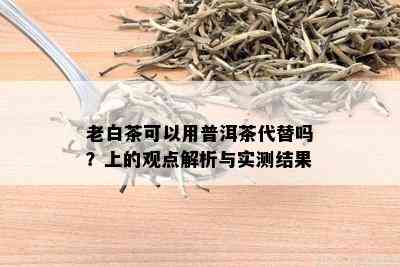 老白茶可以用普洱茶代替吗？上的观点解析与实测结果