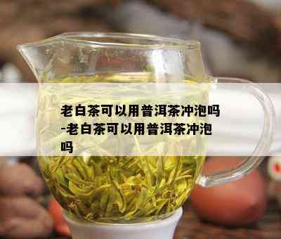 老白茶可以用普洱茶冲泡吗-老白茶可以用普洱茶冲泡吗