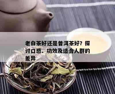 老白茶好还是普洱茶好？探讨口感、功效及适合人群的差异