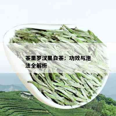 茶里罗汉果白茶：功效与泡法全解析