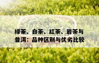 绿茶、白茶、红茶、岩茶与普洱：品种区别与优劣比较