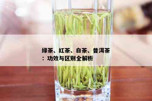 绿茶、红茶、白茶、普洱茶：功效与区别全解析