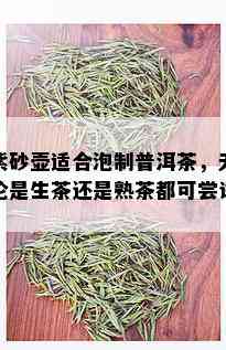 紫砂壶适合泡制普洱茶，无论是生茶还是熟茶都可尝试。