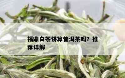 福鼎白茶饼算普洱茶吗？推荐详解