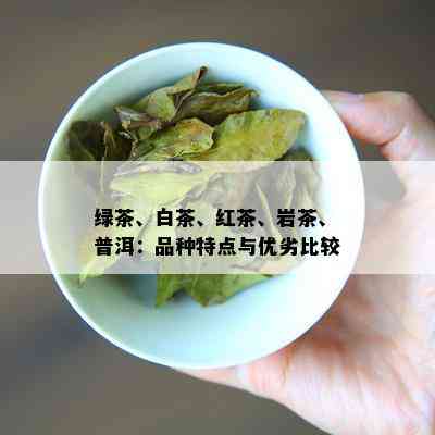 绿茶、白茶、红茶、岩茶、普洱：品种特点与优劣比较