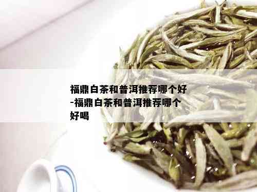 福鼎白茶和普洱推荐哪个好-福鼎白茶和普洱推荐哪个好喝