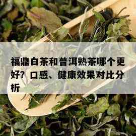 福鼎白茶和普洱熟茶哪个更好？口感、健康效果对比分析