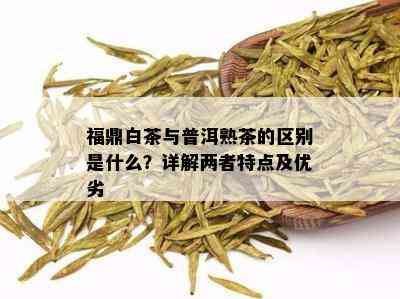 福鼎白茶与普洱熟茶的区别是什么？详解两者特点及优劣